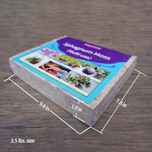 Sphagnum Moss 2.5 lb for Plant Propagation, Great Orchid Potting Mix, Help with Maintain Humidity - size: 2.5 lb
