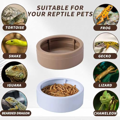 6 Pack Anti-Escape Reptile Food Dish Bowls, Plastic Worm Water Dish | Mealworm Feeder Cups for Small Gecko, Lizards, Bearded Dragon, Chameleon 2.83" W x 2.83" D x 0.98" H, 3 Colors