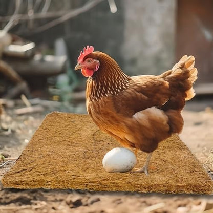 3Pcs Reptile Carpet Mat Chicken Coop Nesting Coconut Fiber Liner Easy Clean Cuttable Reusable for Hen Egg Laying Breeding Pet Bird Garden Agriculture 10Inch(25cm) X10Inch(25cm)