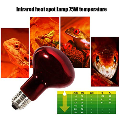 Infrared Heat Lamp Bulbs 75W 2 Pack,Red Basking Spot Light Bulb Reptile Heating lamp for Bearded Dragon,Turtle,Snake,Leopard Gecko,Chicked with Digital Temperature Thermometer - style: 75W(2 Pack)