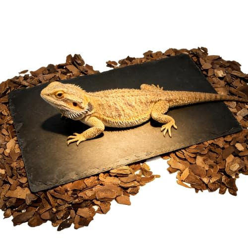 Bearded Dragon Basking Rock Platform,Reptile Basking Rock Slate with Bark Substrate Bedding,Tortoise Resting Climbing Feeding Bathing Platform Tank Accessories for Lizard Gecko Snake Frog (L) - size: L | 9.8" x 6"Slate Rock with Bark Substrate