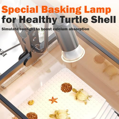 Turtle Aquarium with Lamp, High Transparent with Drain Hole & Protective Top, All-in-one Reptile Terrarium Kit with Basking Light, Hideout & Multi-Area Habitat for Small Tortoise Amphibian