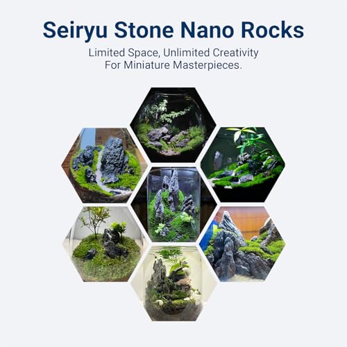 Aquarium Rocks Seiryu Stones Natural Hardscape Stone for Aquariums, Fish Tanks, Bonsai, Terrariums, Wargaming Dioramas, Indoor or Outdoor Gardens-5lb(2-6 Inch) - size: 5Lb (2-6 inch)