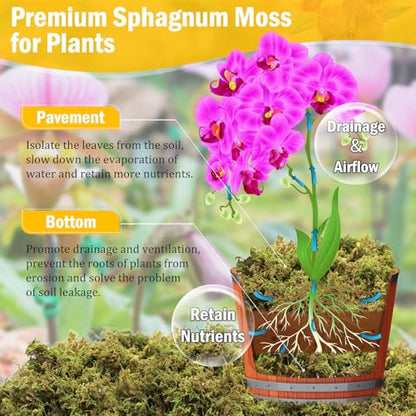 Riare 1.3LB Premium Sphagnum Moss for Plants- 25QT Natural Dried Plant Moss | Moisture Retention & Drainage Orchid Moss for Repotting, Succulents, Carnivorous, Ferns, Green Moss for DIY Craft, Reptiles - size: 25 QT(Appx.1.3lbs)