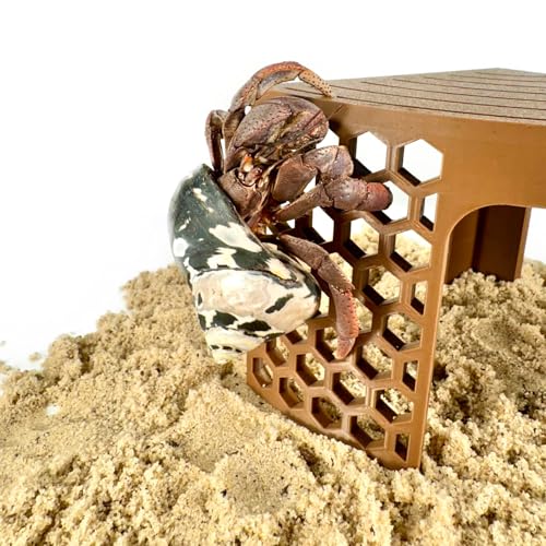 Hermit Crab Climbing Toy Corner Stand | Hermit Crab Cave Tank Decor Hide Platform | Hermit Crab Hideout Decoration Accessories Supplies Toys Ornaments