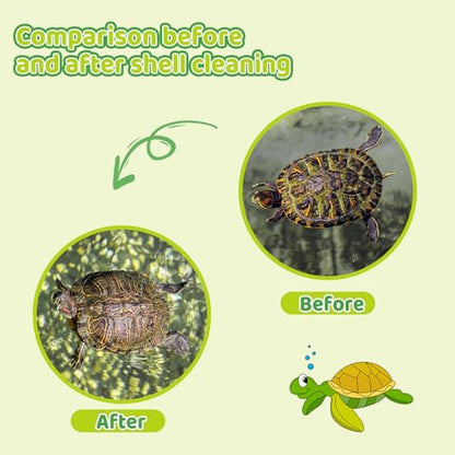 Turtle Brush with Suction Cup Turtle Shell Cleaning Brush Turtle Scrub Scratcher Turtle Exfoliate Brush Pet Bristle Cleaner Toy Tank Accessories Tool Supplies for Cleaning Glassware Bottles Dirt Mud