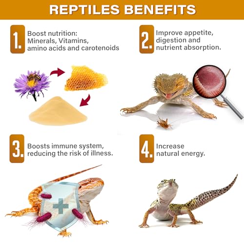 4oz Reptile Bee Pollen. Enhanced with Organic Fruits. Made in USA | Premium bee pollen powder with organic papaya & mulberry! Entices picky reptiles while delivering vitamins & amino acids