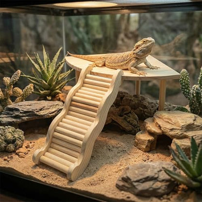 2-in-1 Fan-Shaped Wooden Basking Platform with Anti-Slip Ramp and Hideout, Easy Assembly Terrarium Accessories for Bearded Dragon, Leopard Gecko, Small Reptiles & Amphibians (Natural Wood Tone)