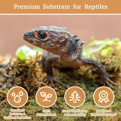 Riare 14oz Natural Sphagnum Moss for Reptiles- Terrarium Reptiles Moss | 20QT High Expansion, Moisture Retention, Long Fiber Dried Moss Bedding for Lepard Gecko Snakes Turtles Frogs Spiders - color: 14 OZ