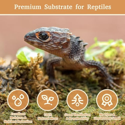 Riare 14oz Natural Sphagnum Moss for Reptiles- Terrarium Reptiles Moss | 20QT High Expansion, Moisture Retention, Long Fiber Dried Moss Bedding for Lepard Gecko Snakes Turtles Frogs Spiders - color: 14 OZ