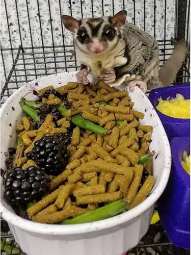 Premium Insectivore Diet (2.5 lb.) - Healthy Nutritious Chicken Based High Protein Pellet Diet - for Sugar Gliders, Hedgehogs, Opossums, Skunks & Other Insectivores - size: 2.5 Pound (Pack of 1)