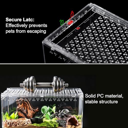 Tarantula Enclosure Spider Terrarium Hermit Crab Tank Large | Polycarbonate Escape Proof Reptile Habitat 11.8" x 7.87" x 5.9" Full View for Isopods Bug Insect Frog Gecko Snails - size: L-Only Terrarium