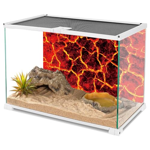 YongFoto Reptile Terrarium Background 36x20 inch Reptile Tank Background Heat Red Cracked Volcanic Eruption Lava Burning Ground Background Bearded Dragon Habitat Fish Tank Aquarium Background Backdrop - size: 36x20in/90x50cm