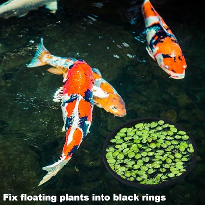 10pcs Fish Feeding Rings Set, 5 Sizes Floating Aquarium Plant Corral | Round Fish Tank Aquarium Accessories for Betta, Goldfish, Turtle (Black)