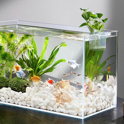 Aquarium Plant Holder,2Pack Transparent Hanging Pot for Fish Tank Aquatic Plant Cultivation and Aquascape Decorations Planter Cups with Hook and Screws