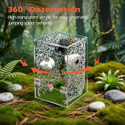 AZV Jumping Spider Enclosure Clouds Kit,Escape Proof Praying Mantis Habitat | Magnetic Front Door Tarantula Terrarium Ventilation Spider Cage,Transparent Acrylic Reptile Tank Beetle,Bug Cribs,Snail House - color: White, size: Large