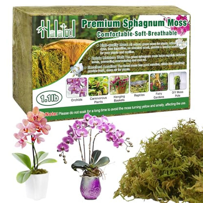 Halatool 1.1 LB Natural Green Forest Moss, 25 QT Long Fiber Sphagnum Moss | No Dyes, Water Retention & Areation, Dried Orchid Moss for Potted Plants Indoor & Outdoor, Orchids Repotting - size: 1.1 lb