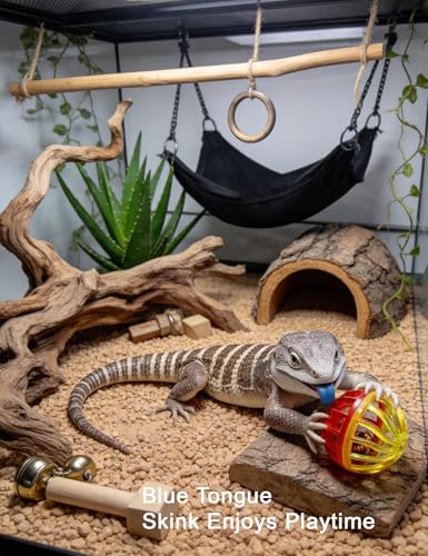 10-Pack Bearded Dragon Toy Balls, Non-Toxic PP, Bell Enrichment | Mealworm Stuffing Method, Hunting Instinct Activation, Boredom Reduction