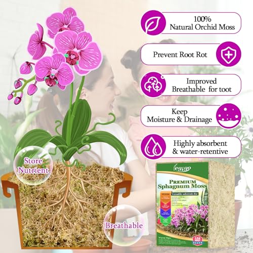 3.3lb Sphagnum Moss for Plants, 60QT Orchid Moss Potting Mix | Long Fiber Sphagnum Moss Dried for Plants Indoor, Orchid Repotting, Succulent, Carnivorous Plants, Terrarium and Reptiles - size: 3.3lb