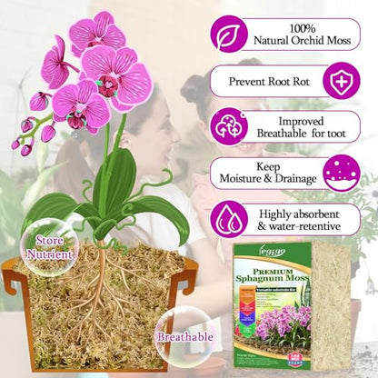 3.3lb Sphagnum Moss for Plants, 60QT Orchid Moss Potting Mix | Long Fiber Sphagnum Moss Dried for Plants Indoor, Orchid Repotting, Succulent, Carnivorous Plants, Terrarium and Reptiles - size: 3.3lb