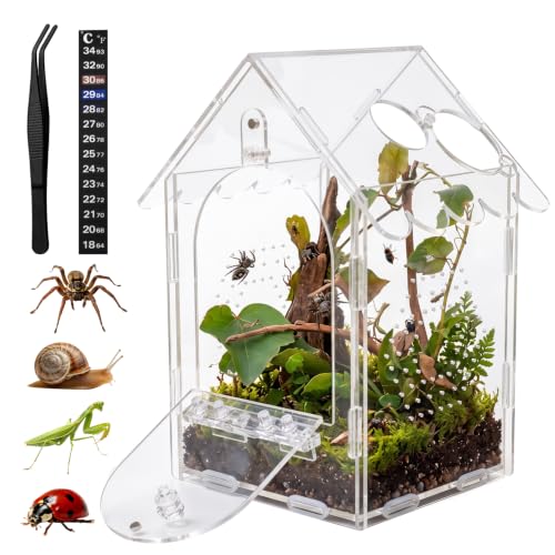 Jumping Spider Enclosure Acrylic Terrarium with Magnetic Lock, Feeding Port | Ventilation，Accessories Included，360° Clear View，Easy to Assemble，Ideal for Mantises Tarantulas Snails