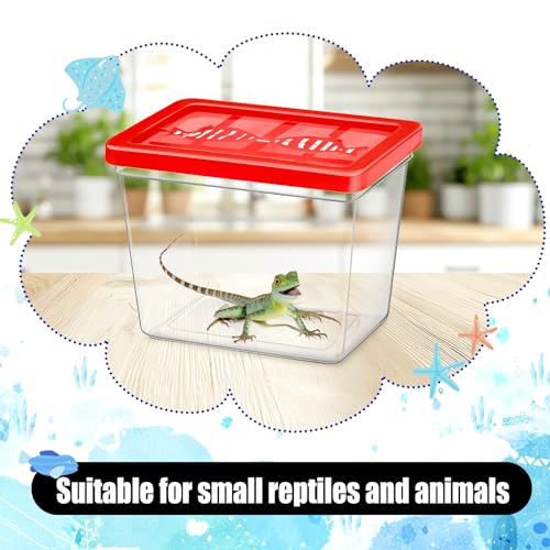 30 Pack 12 oz Plastic Fish Bowls with Lids Plastic Reptile Terrariums Carrier Cage Hatching Container Rectangle Gold Fish Bowls Transparent Turtle Aquarium for Adults Centerpieces Party Decoration