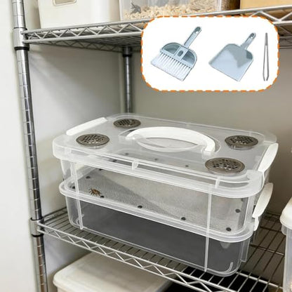 Mealworm Container - Ventilated Lid Transparent Fine Mesh | Mealworm Keeper Box Habitat - for Reptiles, Birds, Chickens, Lizards, Bearded Dragon, Frogs, Tortoises