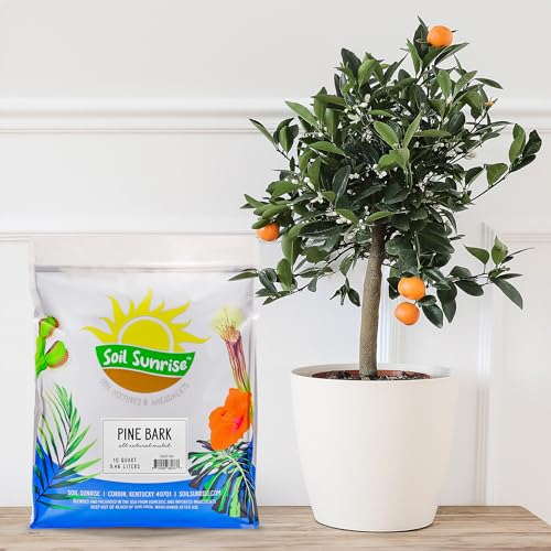 Soil Sunrise 100% Natural Pine Bark Mulch Nuggets (30 Quarts) Small Mulch Chips for Indoor/Outdoor Container Gardening, Ideal for Soil Supplement, Houseplant Mulch, and Terrariums - size: 30 Quarts