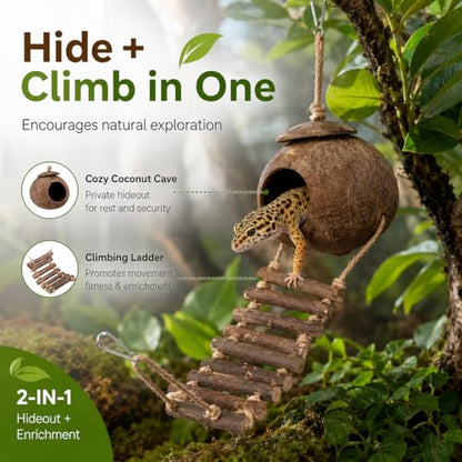 Hanging Coconut Hide for Crested Hide Hut with Climbing Ladder, Natural Shell Cave Hideout for Leopard Reptiles