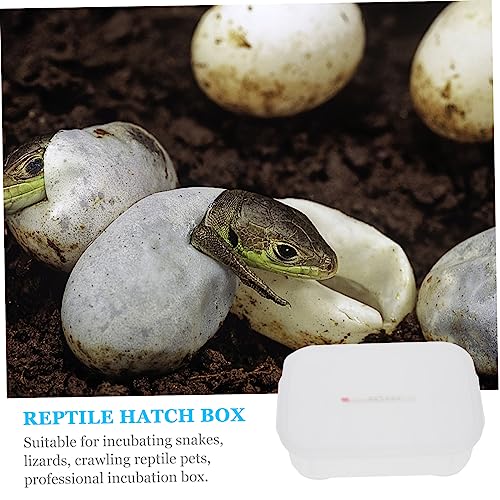 HANABASS Compartments Reptile Egg Incubation Tray Professional Hatching Box for Snakes Lizards and Other Reptiles with Thermometer Easy to Clean and Reusable