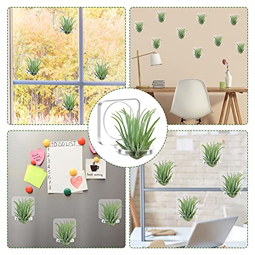 Jetec 12 Pcs Acrylic Air Plants Holder Hanger Air Plant Live Holders with Mounting Tape for Hanging Plants Glass Display Home Office Decoration