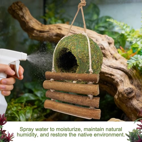 Handmade Moss Reptile Hanging Nest 4 Pcs Set, Small 4″ x 4″ | Gecko Hideout with Ladder, Terrarium Decor for Crested Gecko, Leopard Gecko, Lizard, Small Reptiles & Amphibians - size: Small 4″ x 4″