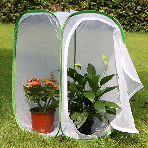 RESTCLOUD Insect and Butterfly Habitat Cage Terrarium Pop-up 23.6 Inches Tall - color: White With Green, size: 15.7 x 15.7 x 23.6 inches