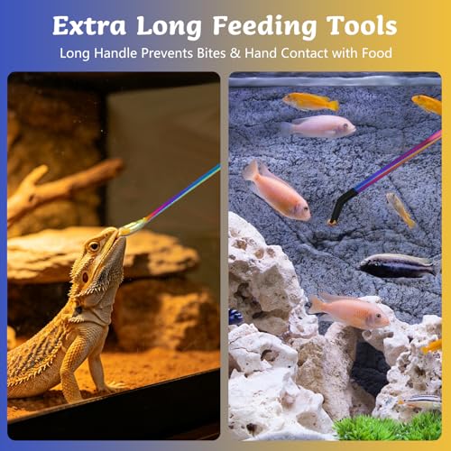 3 PCS Extra Long Stainless Steel Reptile Feeding Tongs and Spoon Set | Reptile Tweezers for Aquarium with Rubber Tip Straight and Curved Terrarium Handle Feeder Tools for Bearded Dragon, Lizards