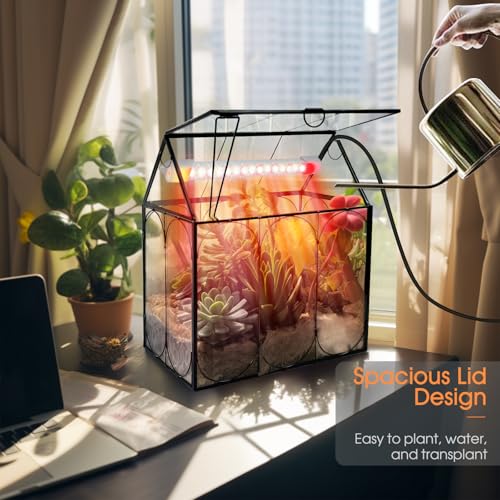RIFNY Plant Terrarium with Grow Light, Glass Terrarium 7.1 x 4.8 x 8.8 Inch | Terrarium with LED Grow Light and Absorbent Mat for Venus Fly Trap Succulent Live Air Plants Indoor Home Office Decor - size: Black-Small with Plant Light