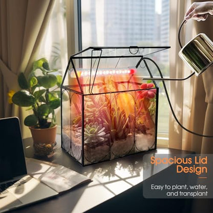 RIFNY Plant Terrarium with Grow Light, Glass Terrarium 7.1 x 4.8 x 8.8 Inch | Terrarium with LED Grow Light and Absorbent Mat for Venus Fly Trap Succulent Live Air Plants Indoor Home Office Decor - size: Black-Small with Plant Light