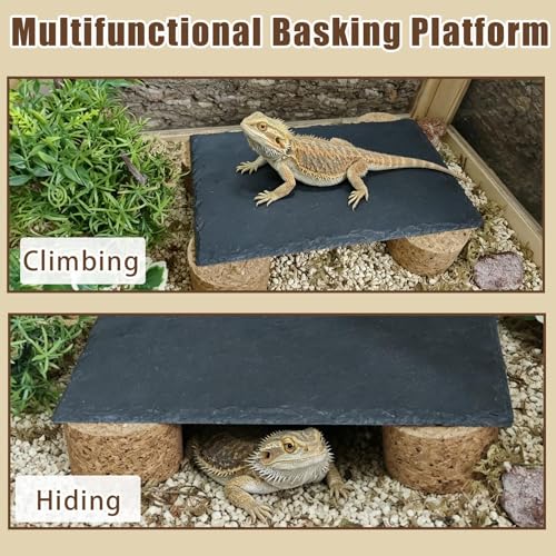 Bearded Dragon Basking Rock Platform,Reptile Basking Slate Rock with Wooden Stump,Leopard Gecko Hides and Caves Tank Accessories for Lizards,Snakes,Ball Pythons,Turtle