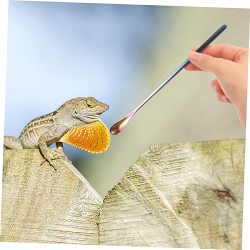 Toddmomy 2Pcs Stainless Steel Lizard Feeding Spoon Long Handle PET Food Scoop for Reptiles and Small Animals Sturdy and Easy to Use Feeding Tool