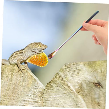Toddmomy 2Pcs Stainless Steel Lizard Feeding Spoon Long Handle PET Food Scoop for Reptiles and Small Animals Sturdy and Easy to Use Feeding Tool
