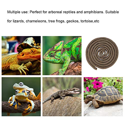 9.84ft Flexible Rattan Reptile Climbing Vine, Bendable Jungle Vine, Chameleon Climbing Branch, Reptile Habitat, Lizard Habitat Accessories, Terrarium Plant Decor (Large 24 Inch) - size: Large 24 Inch