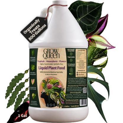 Organic Liquid Indoor Plant Food, Houseplant, Tropical & All-Purpose Indoor Plant Fertilizer, Organic Liquid Fertilizer 5-5-5 with Sea Kelp 1 Gallon Treats 800 Gallon of Water - size: 1 gallon