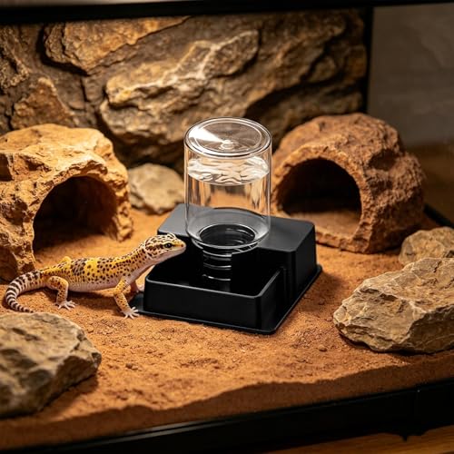 Bearded Dragon Water Bowl, Self Dispensing Fountain for Terrarium with Constant Supply, Reservoir Basin Unit, Home Garden Yard Outdoor Habitat Decor for Chameleon Iguana Frog Medium - size: M1