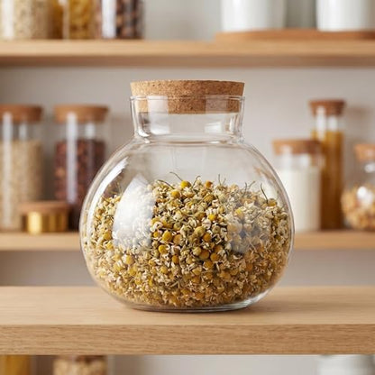 Glass Terrarium Bottle with Cork Lid: Round Borosilicate Jar for DIY Microlandscape - Clear Plant Display Container Moss Holder Tabletop Storage Canister