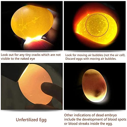 Egg Candler Light Rechargeable USB Eggs Candling Tester | Candling light for chicken eggs, egg checker incubator 5 modes, USB charging, for chicken duck quail dark eggs. - color: Black