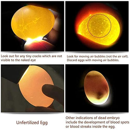 Egg Candler Light Rechargeable USB Eggs Candling Tester | Candling light for chicken eggs, egg checker incubator 5 modes, USB charging, for chicken duck quail dark eggs. - color: Black