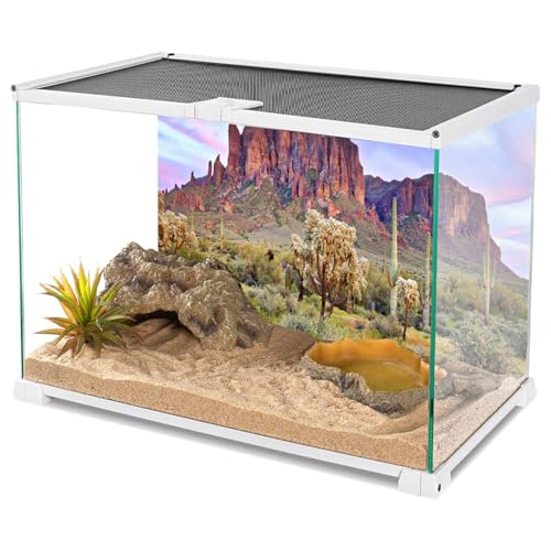 AWERT 24x16 inches Terrarium Background Blue Sky Cloud Mountain Huge Cactus Joshua Trees Oasis Gobi Reptile Habitat Background Vinyl - size: 24x16in/60x40cm