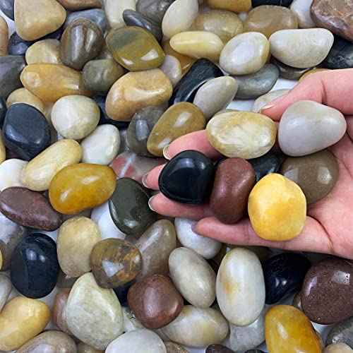 FANTIAN 20 lbs Pebbles for Indoor Plants, 0.8-1.2 Inch Polished River Rocks Decorative Stones for Garden, Aquarium, Vase Fillers, Outdoor Landscaping and Backyard - size: 0.8-1.2 Inch, style: 20 Pounds