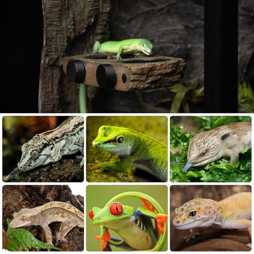 Magnetic Reptile Feeder Ledge, Crested Gecko Feeding Ledge with 6PCS Food Cups Reptile Food Dish Water Bowl Tank Accessories for Bearded Dragon Chameleon Lizard Snake - size: Large