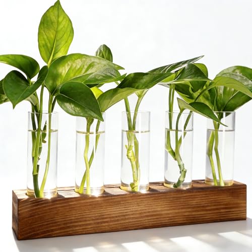 Plant Propagation Station, Plant Terrarium with Wooden Stand | Plants Pots for Hydroponics, Small Birthday Gardening Gifts for Women Mom Plants Lovers Unique - 5 Glass Test Tubes Vases - size: 5 Test Tube