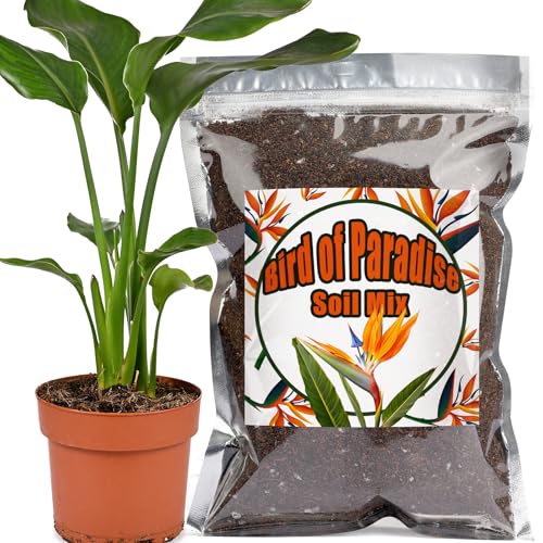 Organic Bird of Paradise Potting Soil Mix 1qt, Ideal for Indoor/Outdoor Potted Plants, Promotes Optimal Growth for Bird of Paradise - size: 1qt